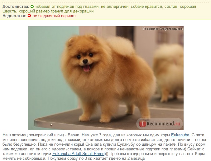 Opiniones sobre el pienso Eukanuba para perros