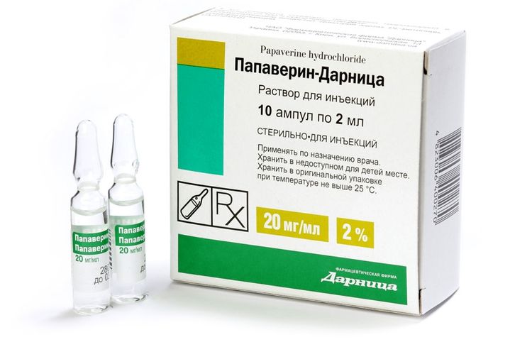 Papaverina para gatos