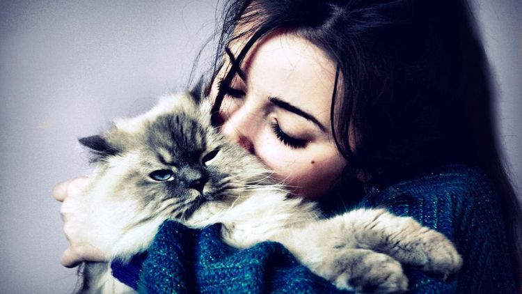 Una chica besa a un gato esponjoso