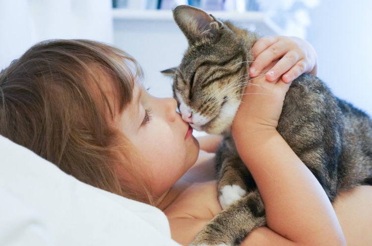 El niño besa al gatito