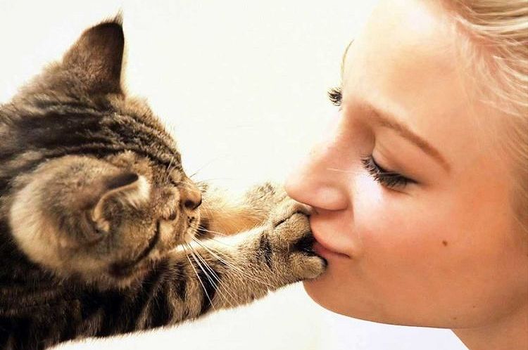 Chica y gatito