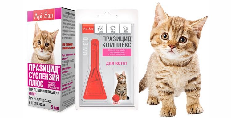 Gotas Prazitsid para gatos