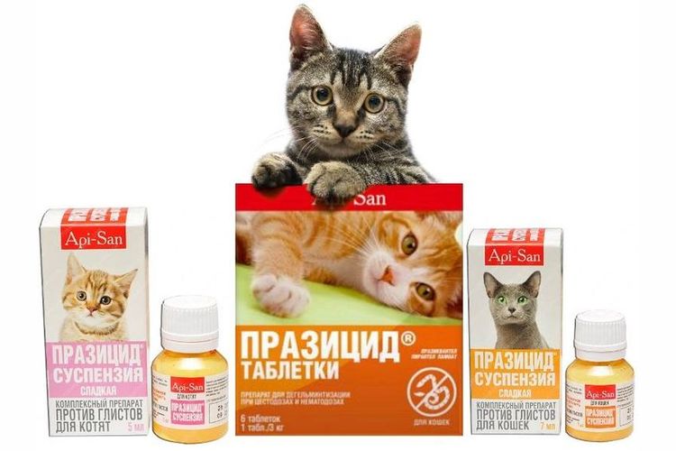 Preparados Prazitsid para gatos