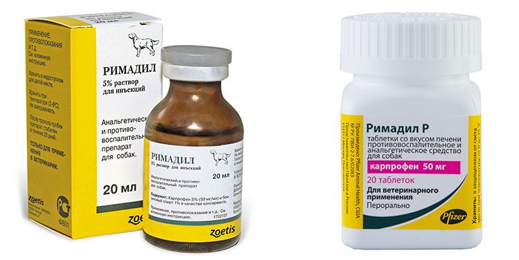 Rimadyl para gatos