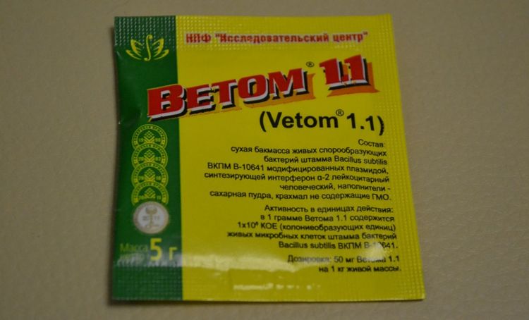 Vetom para gatos
