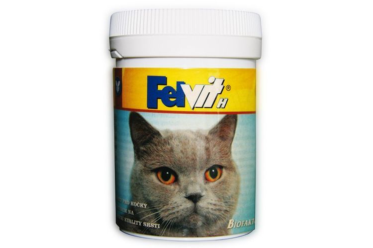 Felvit