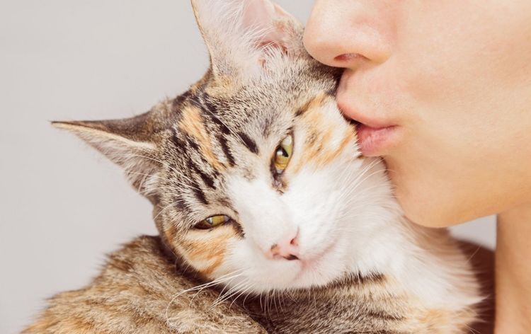 El gato con su dueña