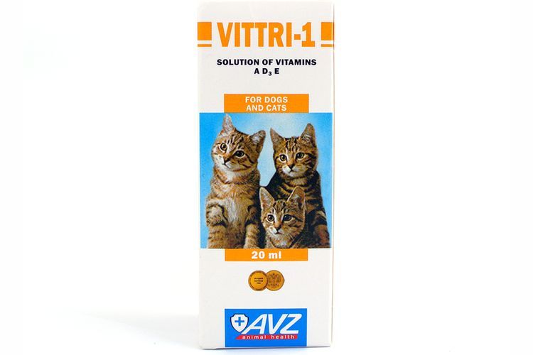 Vittri 1 – complejo para gatos