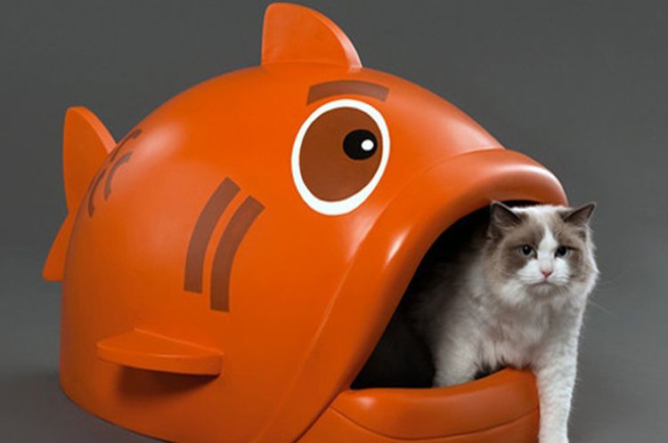 Arenero ecológico para gatos