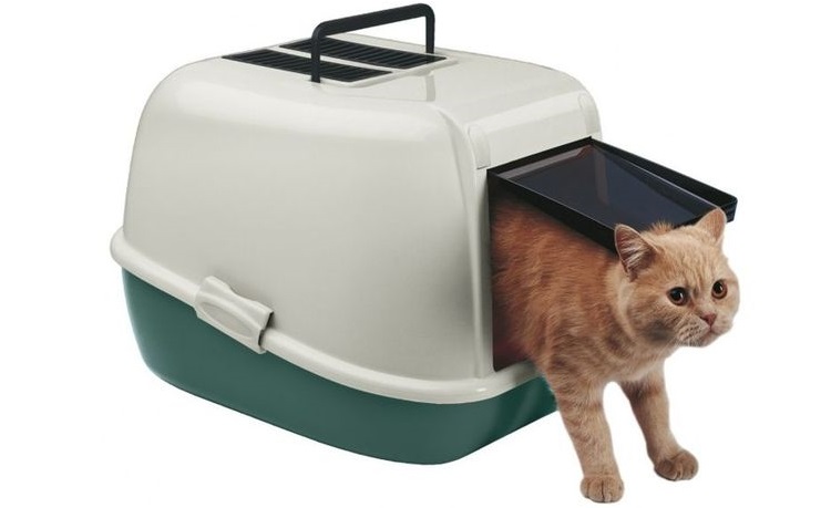 Inodoro-casita para gatos