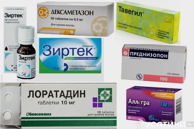 Medicamentos para la alergia a los perros