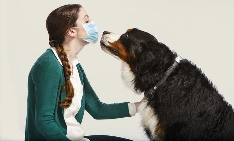 Chica con mascarilla y perro