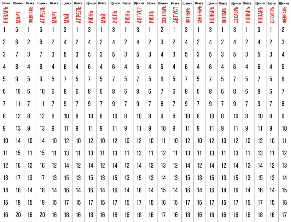 tabla de embarazo de perras (1.ª mitad del mes)