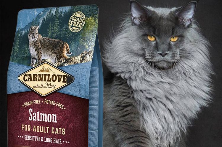Carnilove – alimento para gatos