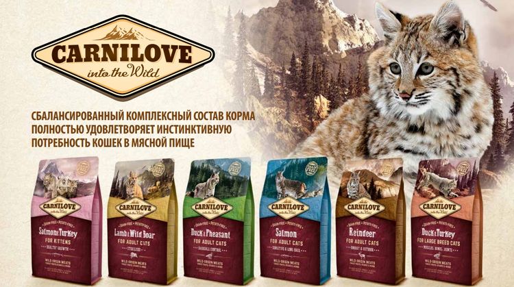 Comida para gatos Carnilove