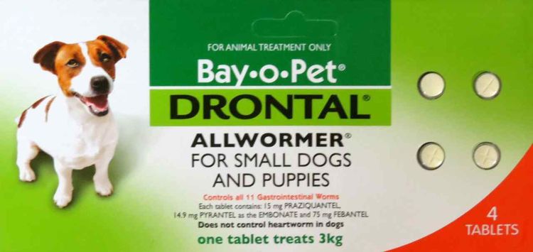 Drontal para perros