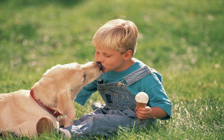 El perro y el niño
