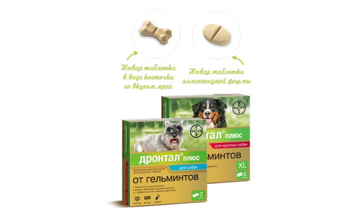 Drontal para perros