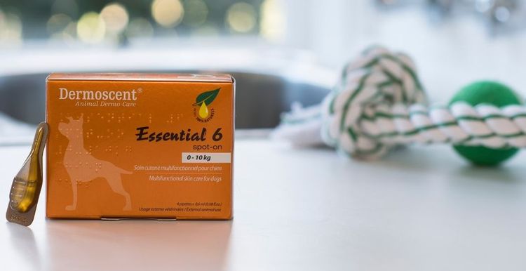 Essential 6 para perros