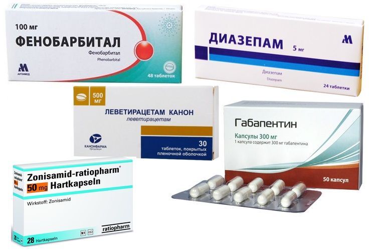 Medicamentos para el tratamiento de la epilepsia en el gato