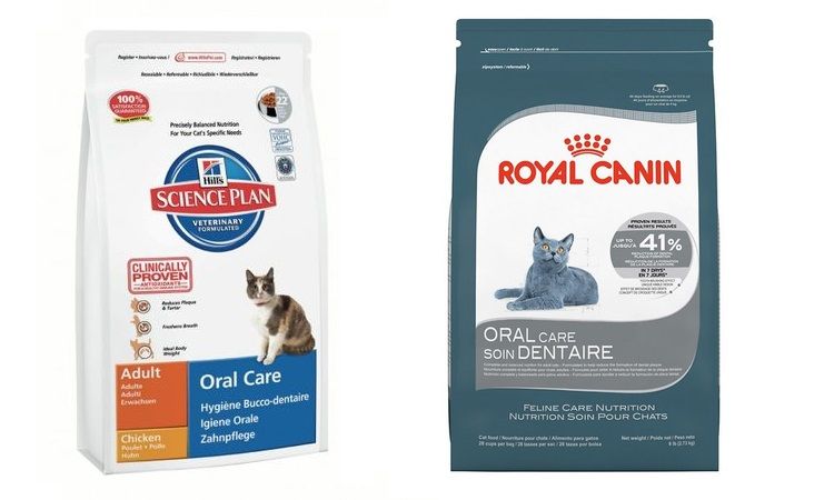 Alimento para la prevención de enfermedades dentales en gatos.