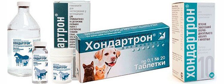 Chondartron para perros
