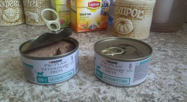 Purina para ganar peso