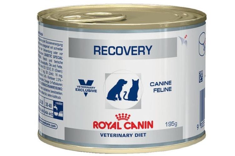 Royal Canin para ganar peso