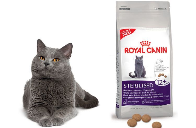 Alimento Royal Canin