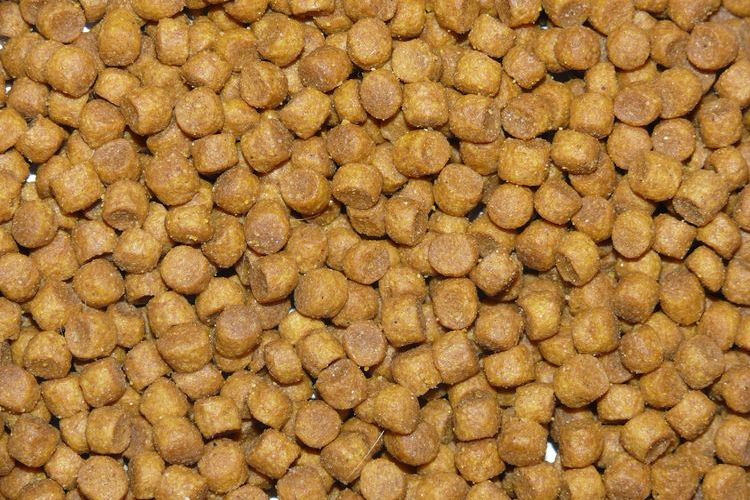 Pienso seco para gatos