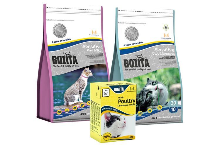 Ración para gatos con digestión sensible