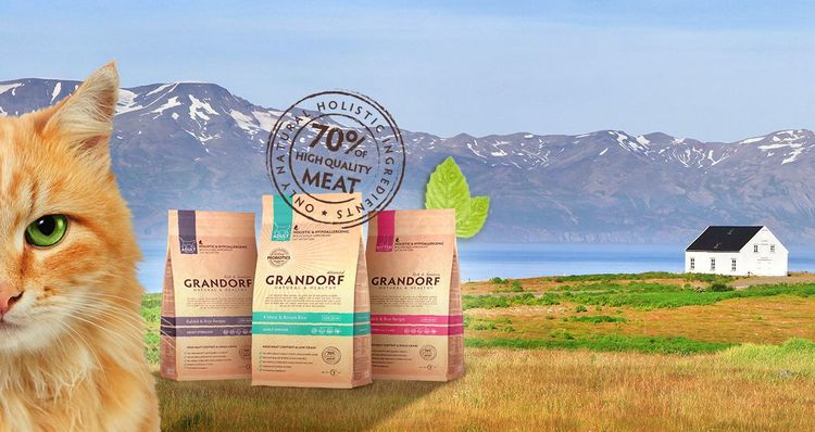 Ración para gatos con digestión sensible
