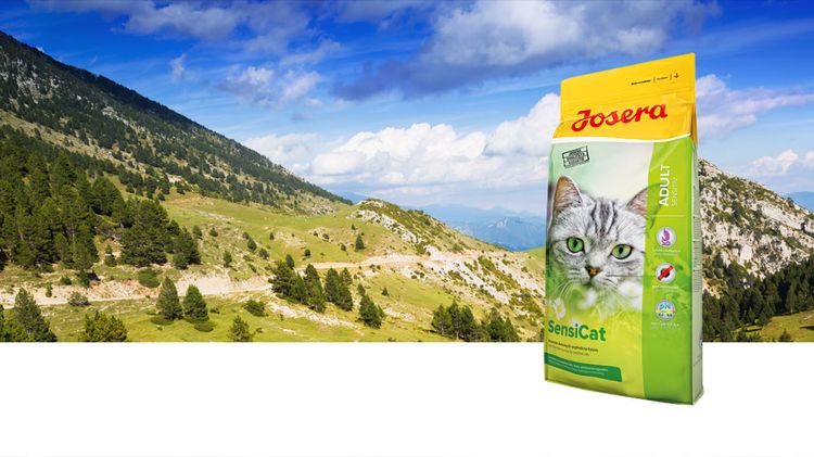 Ración para gatos con digestión sensible