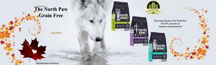 North Paw