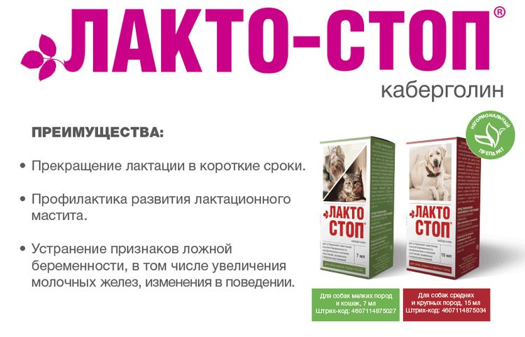 Lacto-Stop para perros
