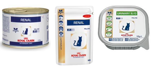 Alimentos terapéuticos Royal Canin para gatos