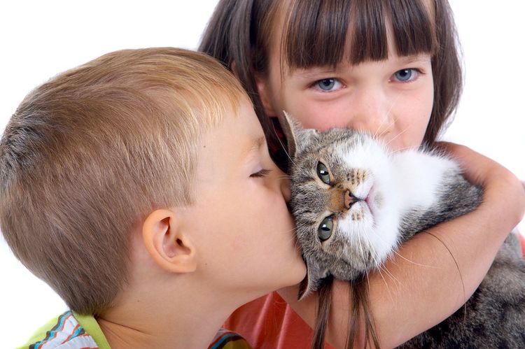 Los niños juegan con el gato