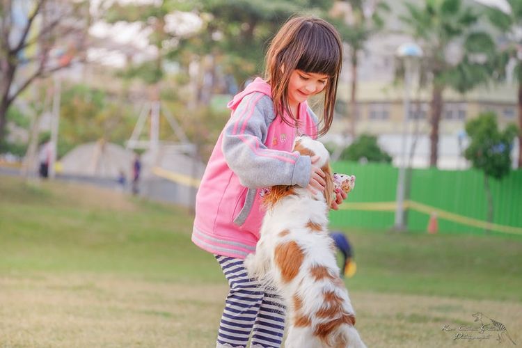 Una niña baila con un perro
