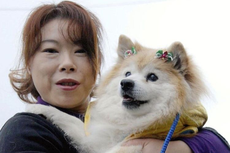 El perro más viejo, Puské