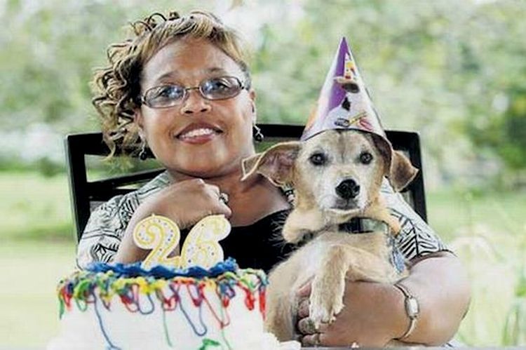 El perro anciano Max