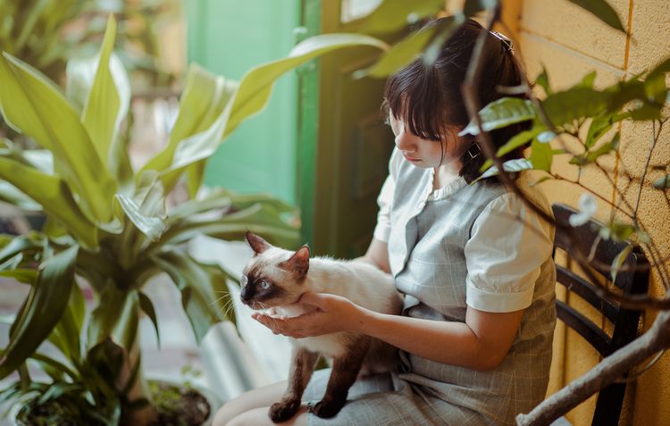 Gato siamés con su dueña