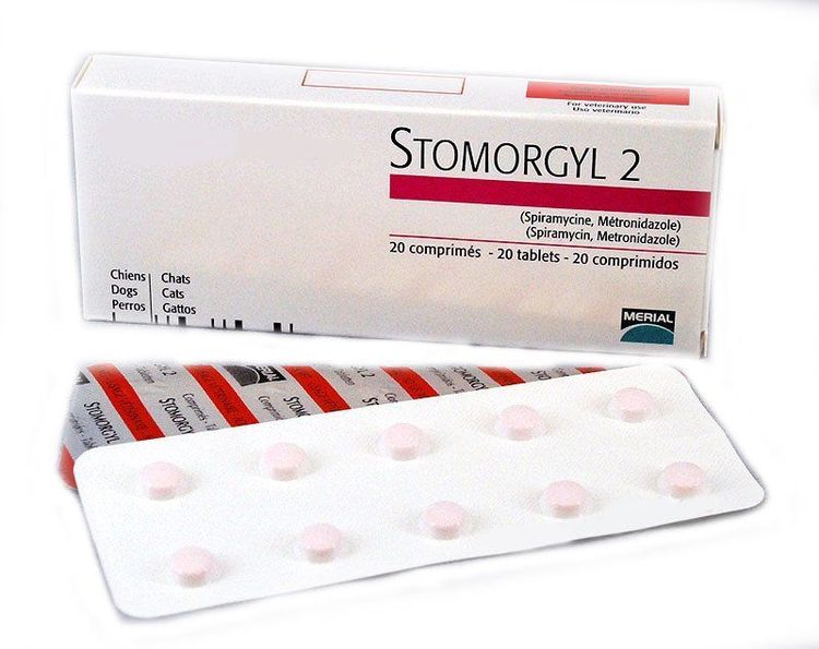 Stomorgyl para perros