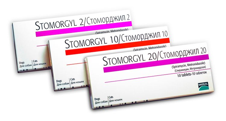 Stomorgyl para perros