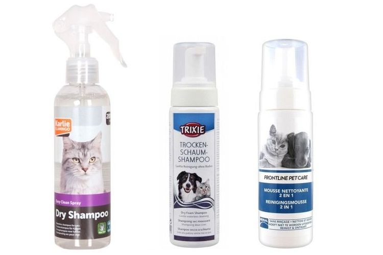 Champú seco para gatos