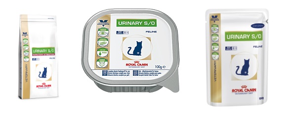 Urinary Royal Canin para gatos