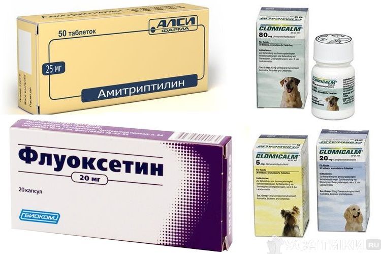 Fármacos calmantes para perros