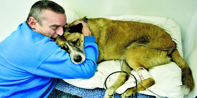 Hund mit Besitzer beim Tierarzt