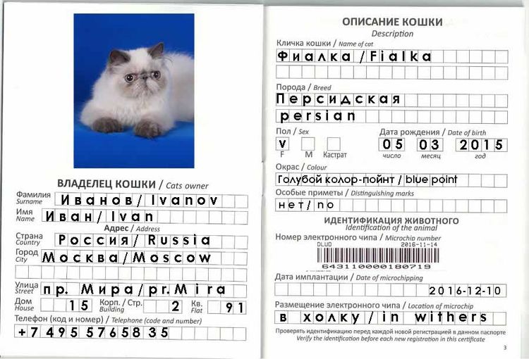 Modelo de cumplimentación del pasaporte veterinario para gato