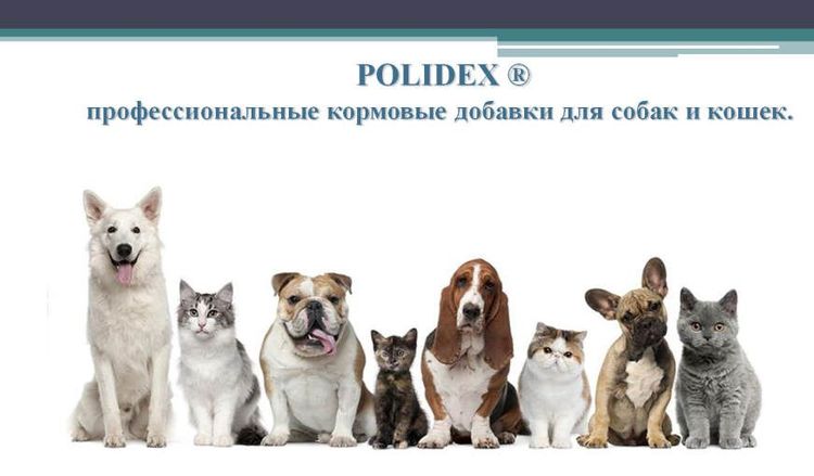 Vitaminas Polidex para perros