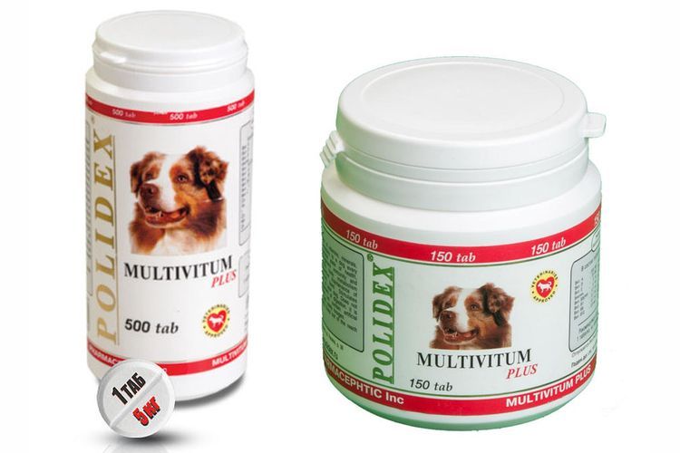 Multivítum